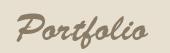 portfoliotxt